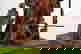 item-8124274=4
