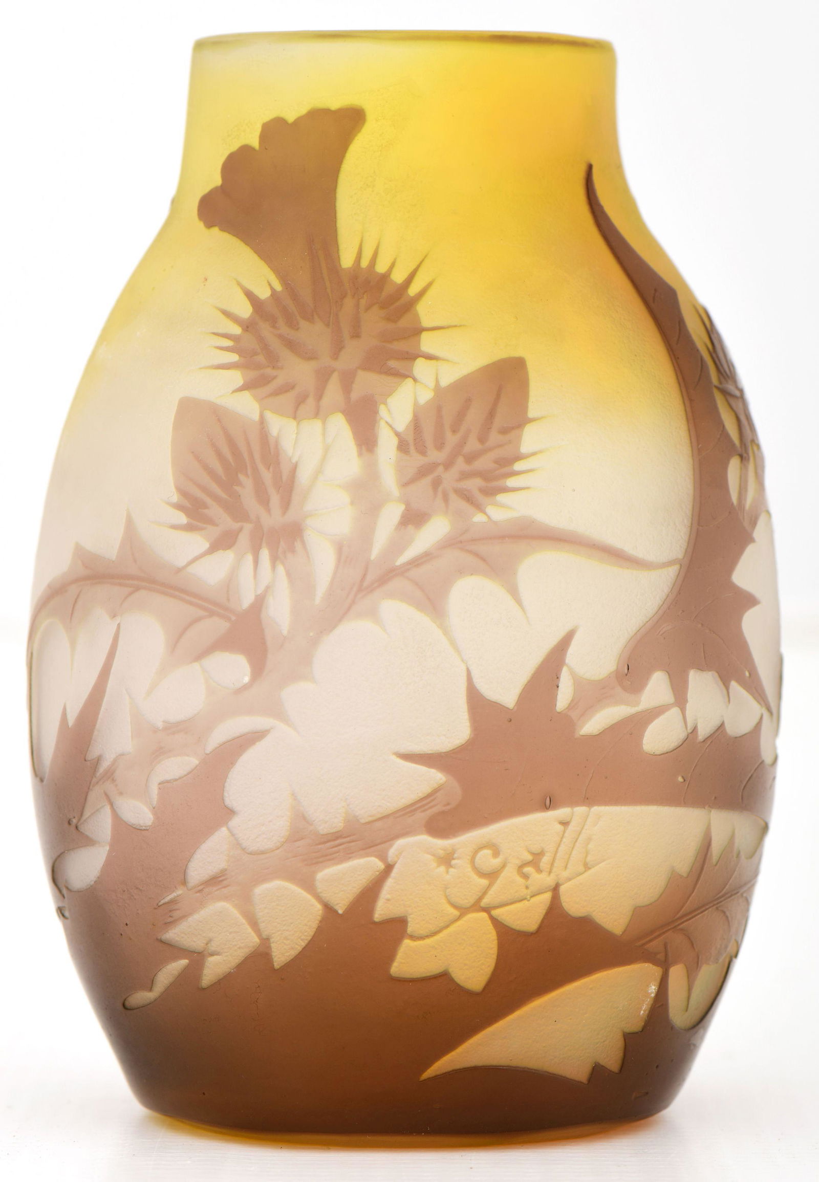 Émile Gallé Cameo Glass Floral Vase (1 of 6)