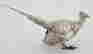 item-128015536=6