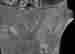 item-128015658=3