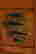 item-130191044=4