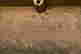 item-131904826=9