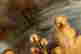 item-131904842=13