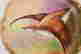 item-131905011=3