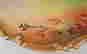 item-131905011=4