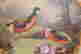 item-131905011=5