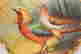 item-131905011=7