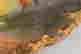item-131905011=8