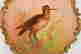 item-131905011=9