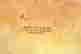 item-131905019=3