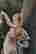 item-131905026=2