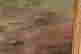 item-131905026=6