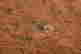 item-131905028=5