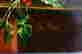 item-131905048=6