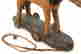 item-131905074=3