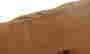 item-131905074=6