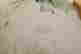 item-131905088=9