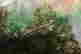 item-131905098=10