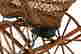item-131905112=9