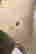 item-135084542=6