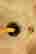 item-135084573=6