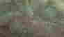 item-135084579=16
