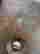 item-135084625=8