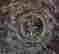 item-135084674=7