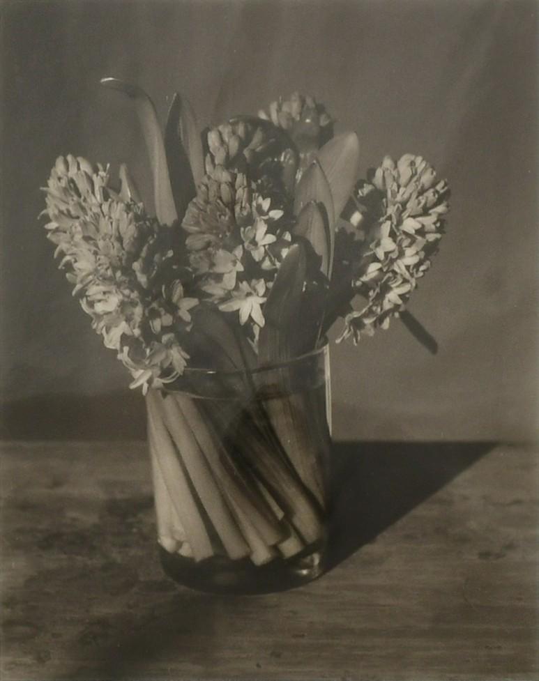 John Dugdale (American, b. 1960), "Triple Hyacinth" (1 of 4)