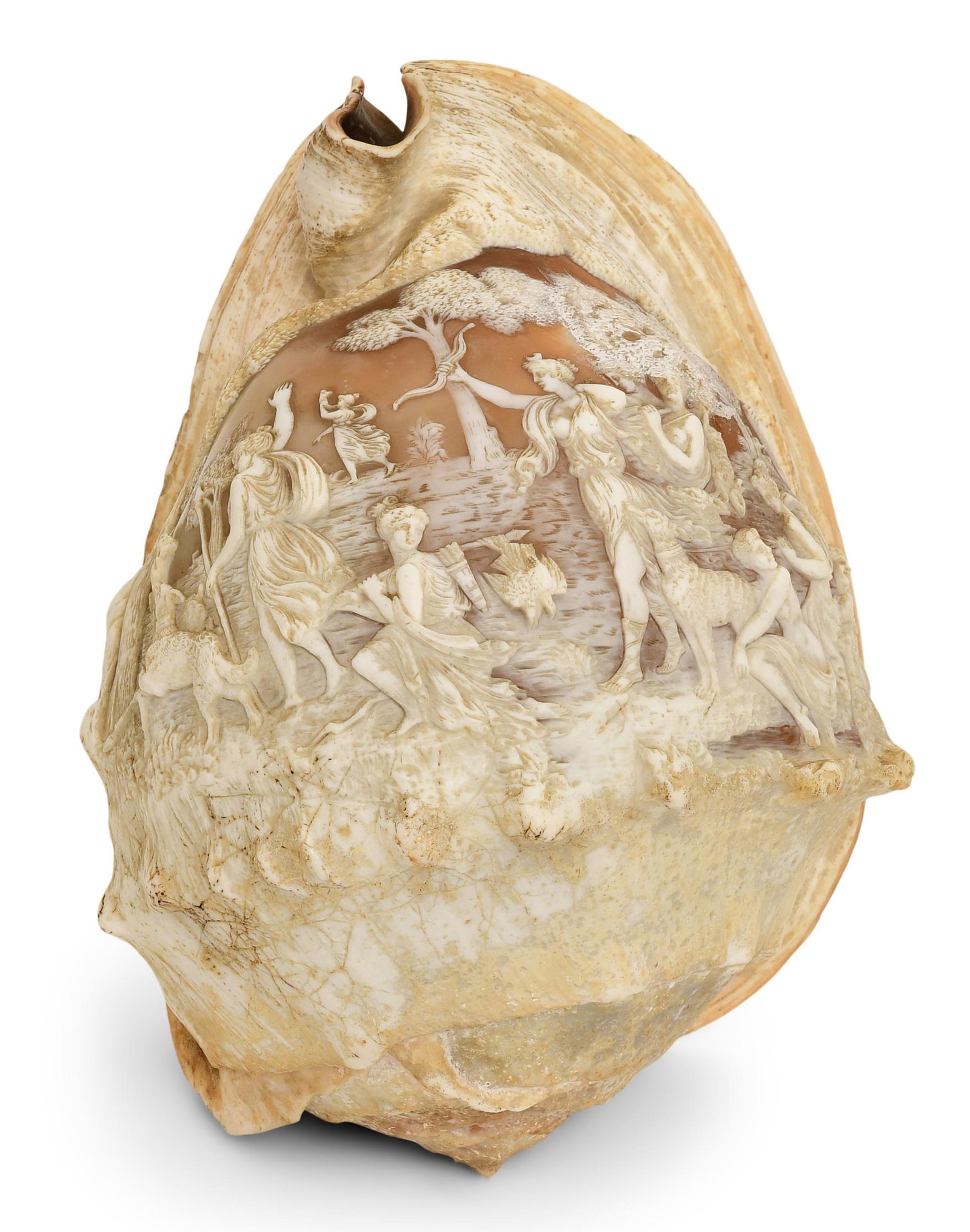 Neoclassical Cameo Carved Conch Shell (1 of 6)