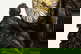 item-174199468=5