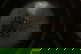 item-192019889=9
