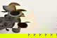 item-205937678=7