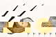 item-205937704=6
