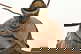 item-205937705=7