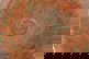 item-205937705=8