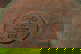 item-205937719=6