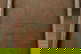 item-205937723=6