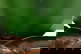 item-205937796=6