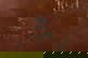 item-205937796=7