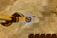 item-205937859=5