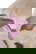 item-208357387=5