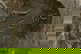 item-208357588=7