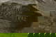 item-208357588=8