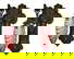 item-208357621=1