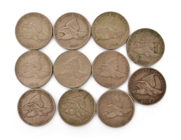 Lot of 11 Flying Eagle Cents