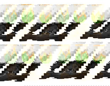 Set of Four Tiffany Studios Sconces with Lustre Art Glass Shades