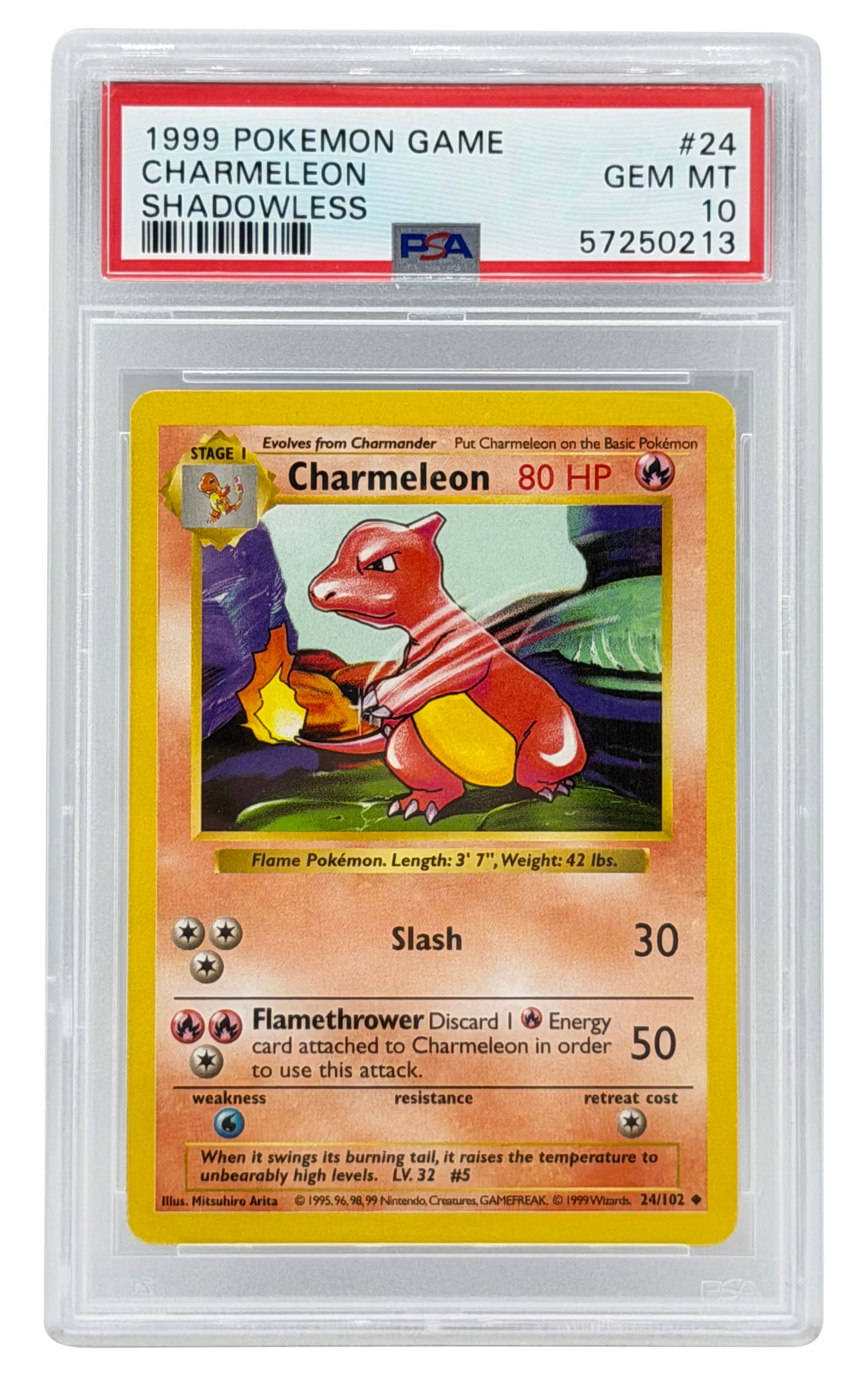 1999 Pokemon Game Base Set Charmeleon Shadowless PSA 10 (1 of 1)