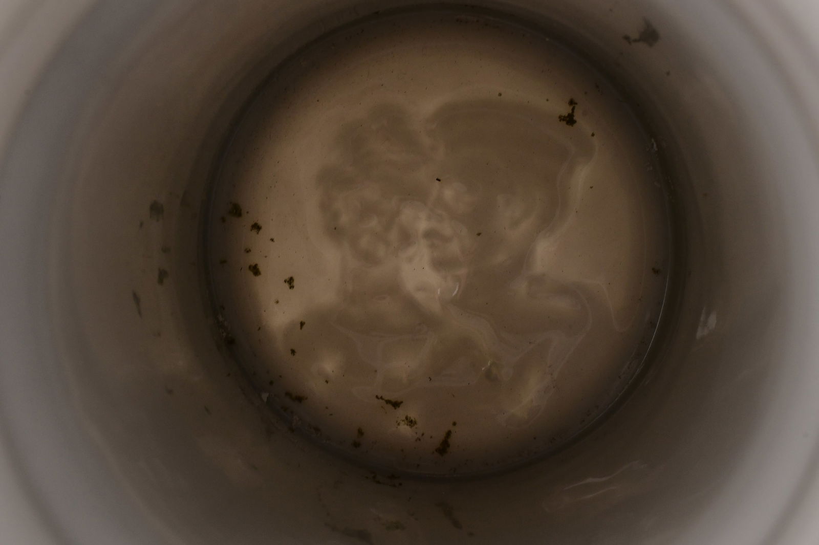 Four German Lithophane Steins - 6