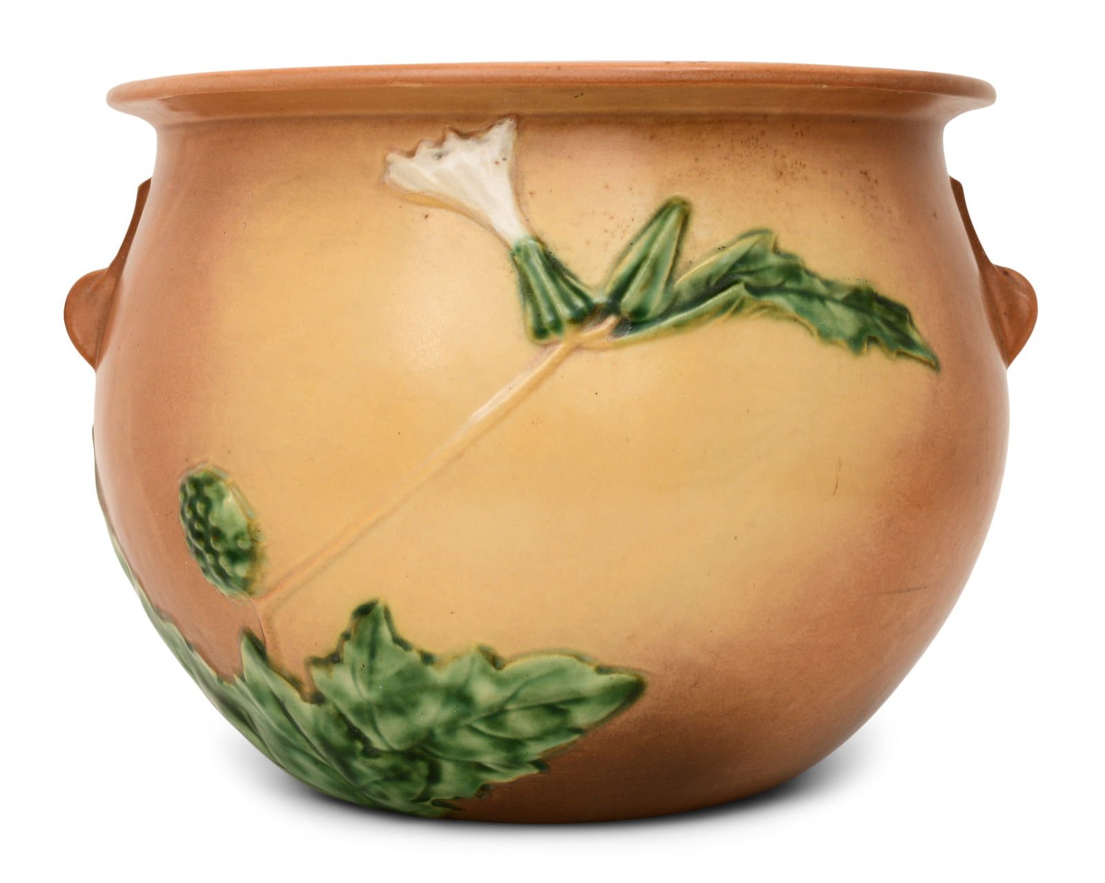 Roseville Pottery "Thornapple" Jardiniere (1 of 1)